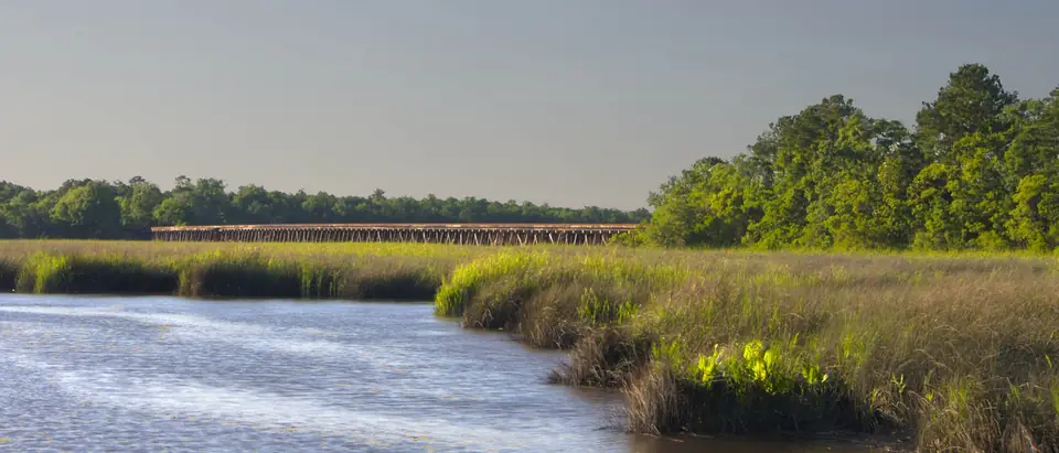 A tidal creek and green salt marsh with a wooden railroad trestle in Hanahan, SC
