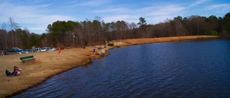 The shore of Bass Lake Park under a bright blue sky in Holly Springs, NC