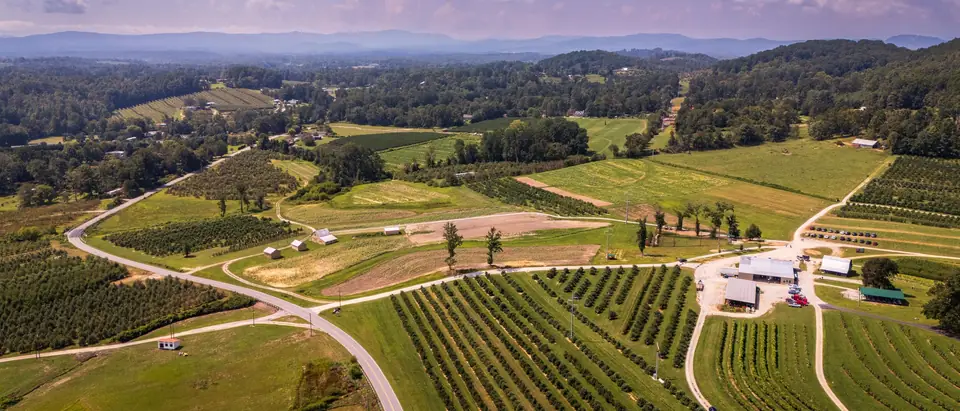 Farm fields and orchards in the rolling North Carolina countryside, seen from the air